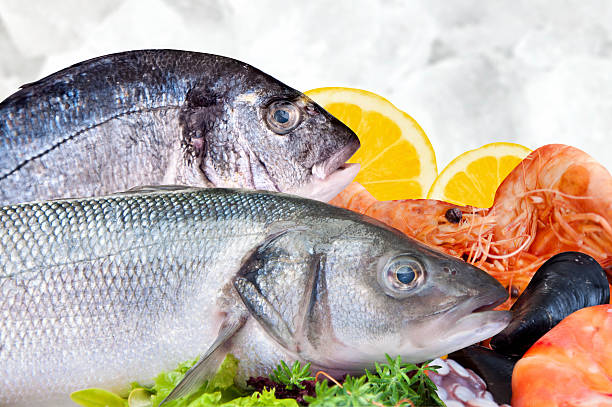 Seafood stock photo