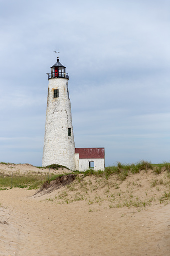 Seagull hovering over the Great Point Lighthouse on Nantucket. in Nantucket, Massachusetts, United States