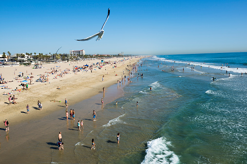 A seagull soars above people enjoying a warm Saturday at the beach in Huntington Beach, California. Photo taken from the Huntington Beach Pier.