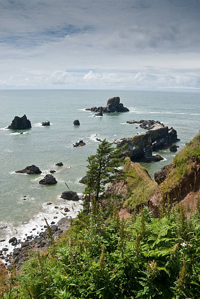 Seal Rocks and the Pacific Ocean The Pacific Coast is famous for its beaches and many picturesque offshore rock formations. Seal Rocks were photographed from Ecola Point near Cannon Beach, Oregon, USA. jeff goulden oregon coast stock pictures, royalty-free photos & images