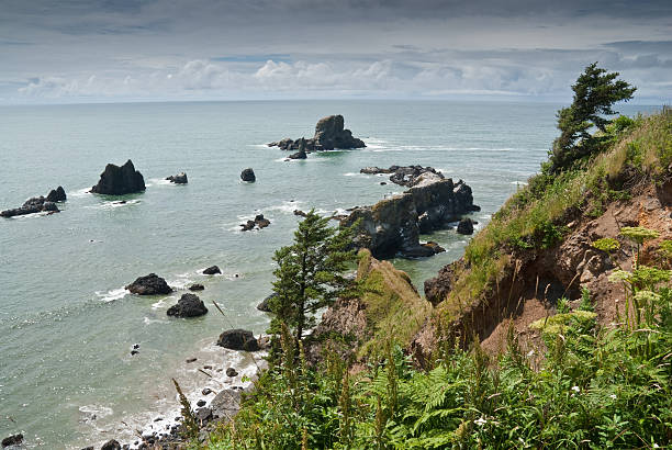 Seal Rocks and the Pacific Ocean The Pacific Coast is famous for its beaches and many picturesque offshore rock formations. Seal Rocks were photographed from Ecola Point near Cannon Beach, Oregon, USA. jeff goulden oregon coast stock pictures, royalty-free photos & images