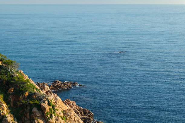 paisagem do mar mediterrâneo, sobrevoando penhascos - drone sobrevoando o mar - fotografias e filmes do acervo