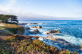 istock Seascape of Monterey Bay and cypress trees at Sunset, California 511599598