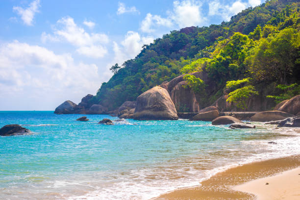 Seascape. Rocky seashore with tropical forest on the mountain. Beach holidays in Thailand stock photo