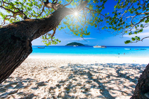 Seascape view of a tropical beach on sunny summer. stock photo