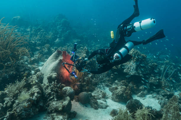 Seascape with  a diver and underwater cinematographer filming in coral reef of Caribbean Sea, Curacao stock photo