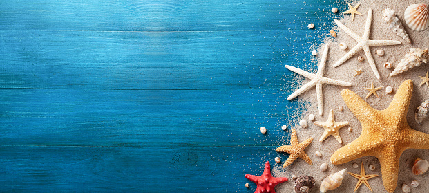 ✓ Imagen de Concha de mar, estrellas de mar y arena de playa sobre fondo  azul. Vacaciones de verano y concepto de viaje. Vista superior y plana  plana. Fotografía de Stock