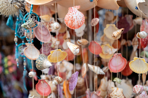 seashells strung on a rope to make a sound when shaken