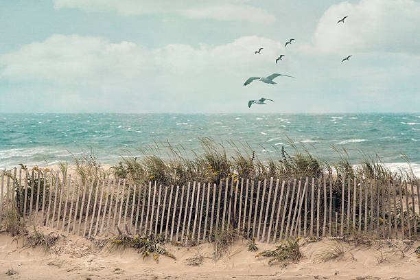 Seaside View of a beach on Cape Cod, Massachusetts, on a windy fall day with an old wooden fence, beach grass and ocean scenery. eastern usa stock pictures, royalty-free photos & images