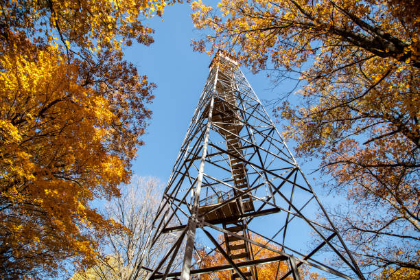 4 Seasons Minnesota fall colors fire lookout tower stock pictures, royalty-free photos & images