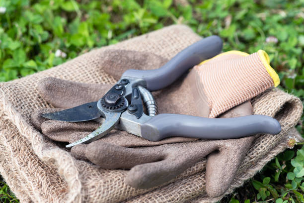 Secateurs. Garden pruner and gloves on the sackcloth background close up. Gardening. pruning shears stock pictures, royalty-free photos & images