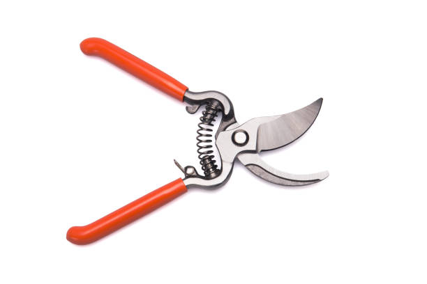 Secateurs The Garden Shears On White Background hedge clippers stock pictures, royalty-free photos & images