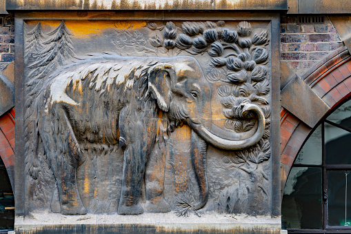 A bronze plaque of a mammoth outside the Sedgewick museum in Cambridge, UK. The Museum and plaque date from 1840.