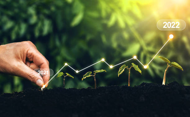 Seedling are growing from soil with growth comparative year 2021 to 2022. New year 2022 development to success, strategy, plan, goals and vision. Business growth, profit development and success graph. stock photo
