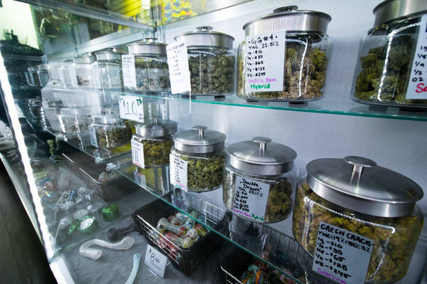 selectie van cannabis en legale medische recreatieve winkel - hennep stockfoto's en -beelden