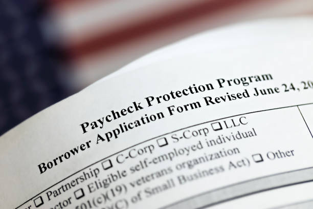 selective focus photo of paycheck protection program borrower application form revised, on a background of United States flag. paycheck protection program new round. stock photo