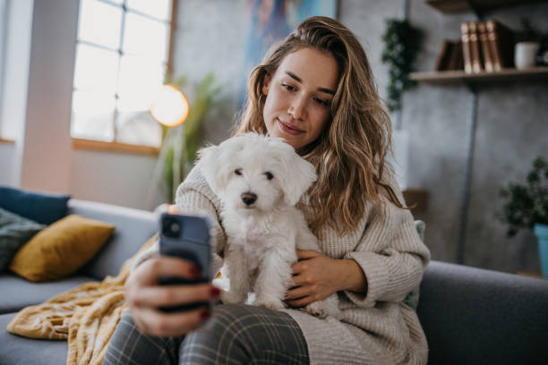 Selfie with puppy stock photo