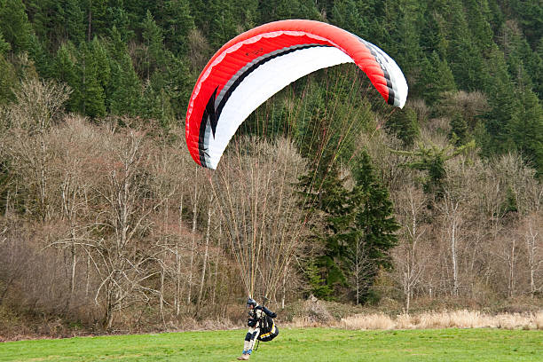 Paraglider Coming in for a Landing Issaquah, Washington, USA - March 07, 2012: A senior adult brings his paraglider in for a landing in a field near the town of Issaquah. jeff goulden paragliding stock pictures, royalty-free photos & images