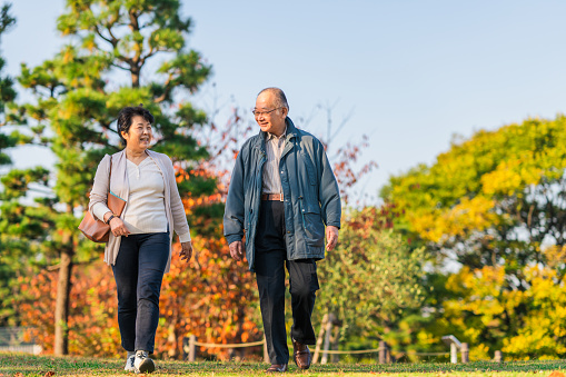 A senior adult married couple is enjoying walking together in a public park.