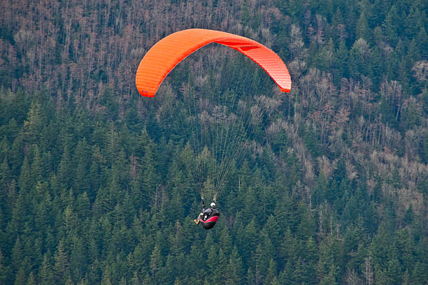 Paraglider Flying Above the Trees Tiger Mountain State Forest, Washington, USA - March 07, 2012: A senior adult paraglider flies high above an evergreen forest. jeff goulden paragliding stock pictures, royalty-free photos & images