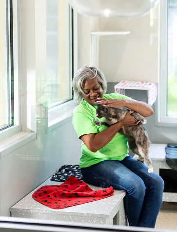 A senior African-American woman in her 60s volunteering at an animal shelter. She is sitting indoors in a meet and greet room, holding a rescued cat in her arms, petting it.