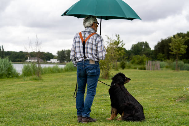 hogere kaukasische mens die zich alleen in de regen met zijn hond bevindt - pensioen nederland stockfoto's en -beelden