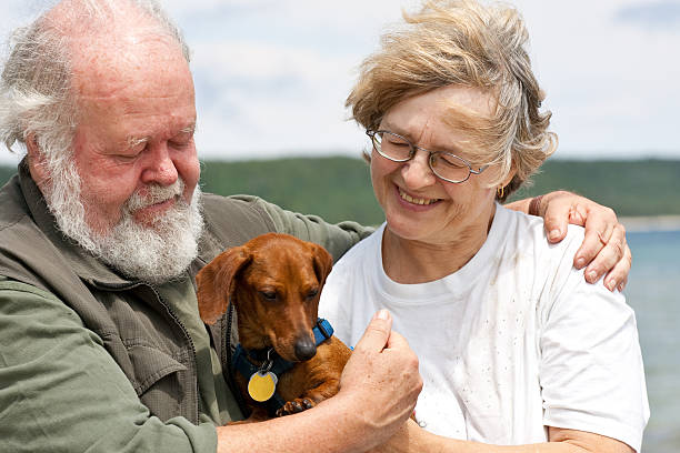 Senior couple with Miniature Dachshund stock photo