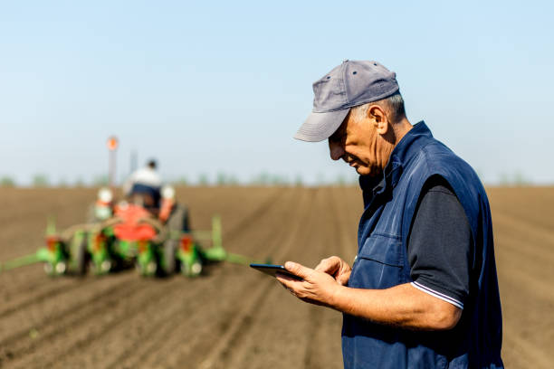 senior farmer in field examining sowing and holding tablet in his hands. - natural food web imagens e fotografias de stock