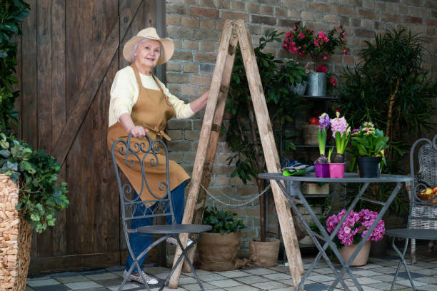Senior female gardener working in the backyard near the garden stock photo