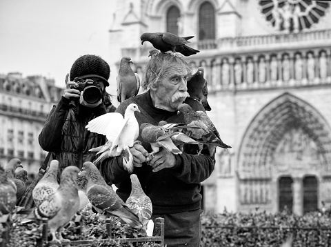 Senior man feeding pigeons