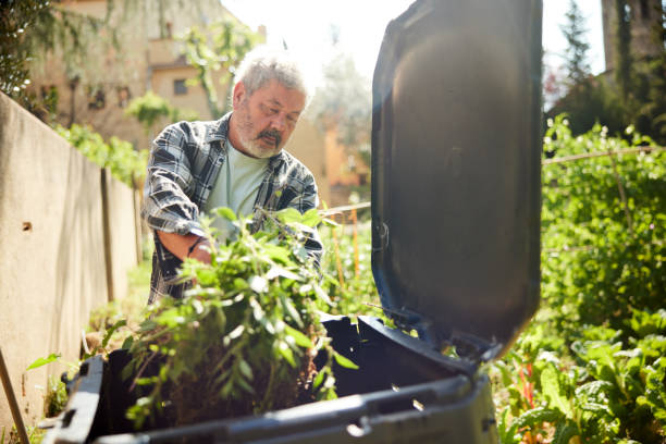 A senior man is adding materials to a compost bin. stock photo