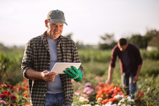 Senior man reading news on his new tablet while standing in his flower farm