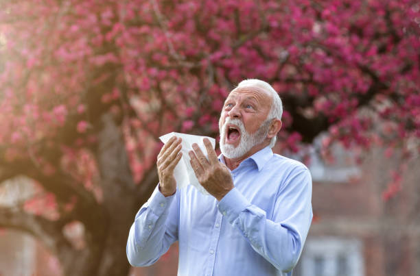 Senior man sneezing because of pollen allergy in spring Senior man sneezing into fabric napkin in front of blooming tree. Spring allergy reaction antihistamine stock pictures, royalty-free photos & images