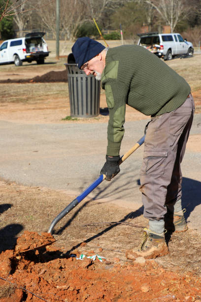 A senior man volunteers planting trees for 2019 MLK Day of Service in Winterville, Georgia. Winterville, Georgia - January 21, 2019: A senior man participates in the MLK Day of Service planting trees at the Winterville Elementary School. martin luther king jr day stock pictures, royalty-free photos & images