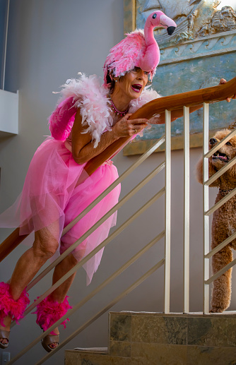 Senior Woman In A Self Made Flamingo Outfit Slides Down A