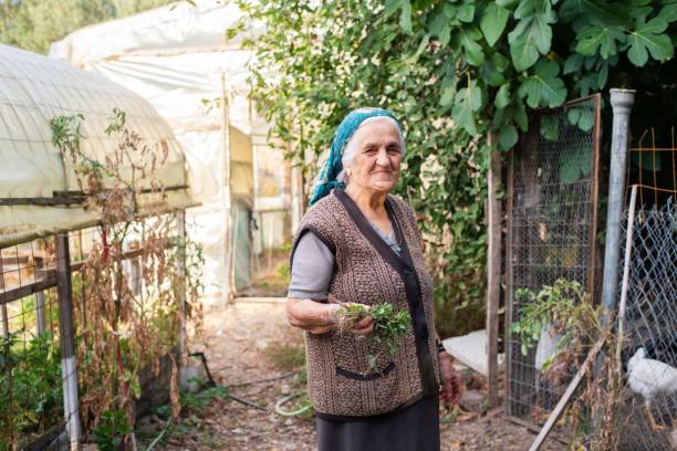 Senior woman in her garden stock photo