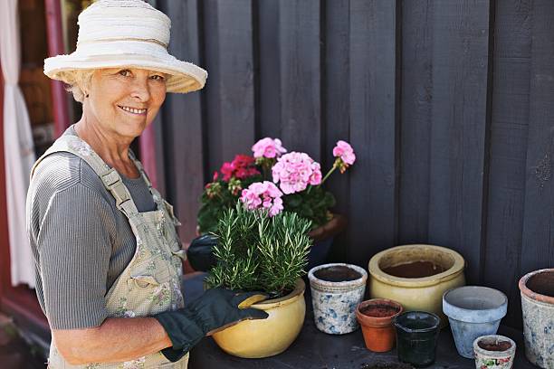 Senior woman planting flowers in a pot Active senior woman potting some plants in terracotta pots on a counter in backyard. Senior female gardener planting flowers in pots potting stock pictures, royalty-free photos & images