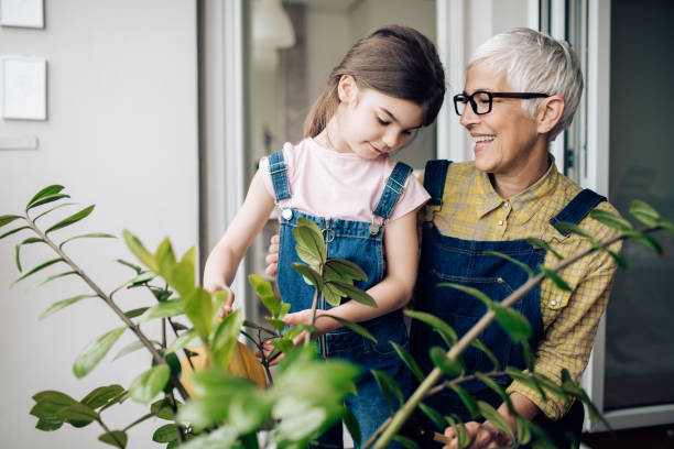 Senior woman planting flowers with her granddaughter stock photo