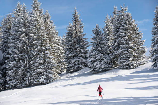 senior woman snowshoeing in the Bavarian alps nice and active senior woman snowshoeing in deep powder snow in the Allgau alps, Bavaria, Germany allgau alps stock pictures, royalty-free photos & images