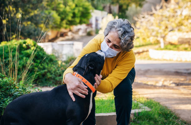 Senior woman with her dog during Covid-19 stock photo