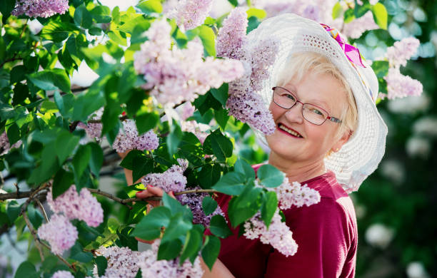Senior woman working in her garden with a plants. Hobbies and leisure stock photo