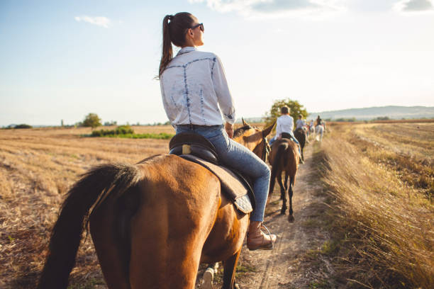 Serene tourist woman riding a horse with a tourist group Beautiful woman enjoying horseback riding in nature with friends. female animal stock pictures, royalty-free photos & images