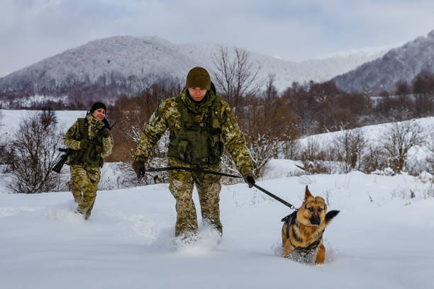 service des gardes-frontières ukrainiens parmi les montagnes d’hiver - camouflage ukraine photos et images de collection