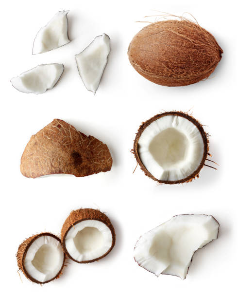 Set of coconut pieces isolated on white, top view Set of coconut pieces and whole coconut isolated on white background; flat lay coconut stock pictures, royalty-free photos & images
