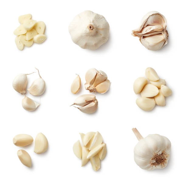 Set of fresh whole and sliced garlics Set of fresh whole and sliced garlics isolated on white background. Top view garlic stock pictures, royalty-free photos & images