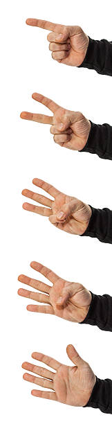 set of hands counting 1, 2, 3, 4, 5 stock photo