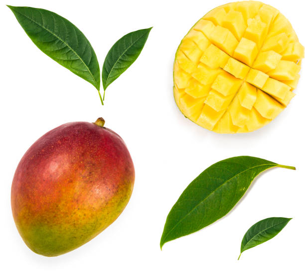 Set of mango fruits, mango cuted and leaf. Clipping path for each item. stock photo