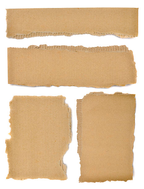 conjunto de textura de papelão com extremidades rasgadas - cardboard imagens e fotografias de stock