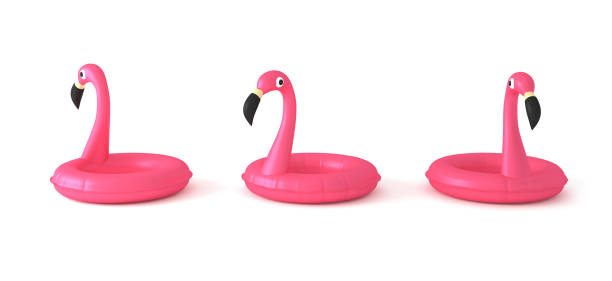 set van drie 3d rendering pink flamingo opblaasbare pool ring in verschillende hoeken geïsoleerd op witte achtergrond - flamingo stockfoto's en -beelden