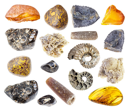 set of various fossilised stones cutout on white background